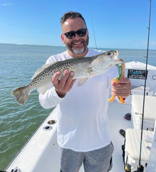 Speckled Trout Fresh Catch in Florida